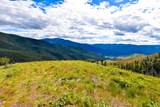 Tract 2 Henry Creek Road - Photo 7