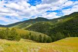Tract 3 Henry Creek Road - Photo 4