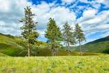285 Henry Creek Road - Photo 23