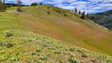 285 Henry Creek Road - Photo 47
