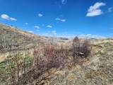Parcel 3 Bradley Creek Road - Photo 4