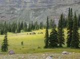 8571 Sun Canyon Lodge Road - Photo 17