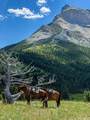 8571 Sun Canyon Lodge Road - Photo 188