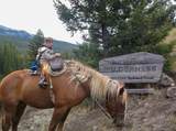 8571 Sun Canyon Lodge Road - Photo 190
