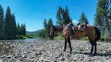 8571 Sun Canyon Lodge Road - Photo 192