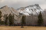 8571 Sun Canyon Lodge Road - Photo 198
