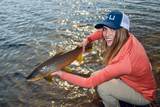 8571 Sun Canyon Lodge Road - Photo 34