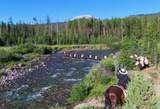 8571 Sun Canyon Lodge Road - Photo 9