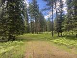 NHN Big Fir Drive - Photo 11