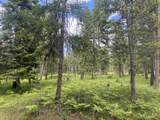 NHN Big Fir Drive - Photo 12