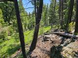Crow Bar Indian Creek Road - Photo 12