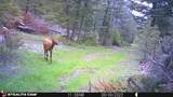 Crow Bar Indian Creek Road - Photo 23