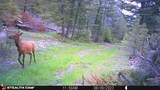 Crow Bar Indian Creek Road - Photo 24