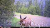 Crow Bar Indian Creek Road - Photo 25