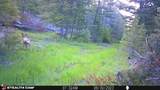 Crow Bar Indian Creek Road - Photo 26