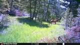 Crow Bar Indian Creek Road - Photo 27