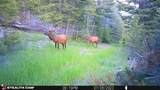 Crow Bar Indian Creek Road - Photo 29