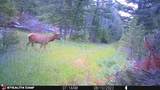 Crow Bar Indian Creek Road - Photo 34