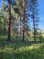 NHN Old Hot Springs Road - Photo 26