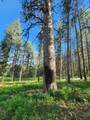 NHN Old Hot Springs Road - Photo 28