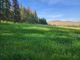 NHN Old Hot Springs Road - Photo 29