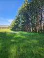 NHN Old Hot Springs Road - Photo 7
