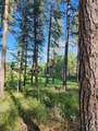 NHN Old Hot Springs Road - Photo 8