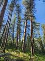 NHN Old Hot Springs Road - Photo 9