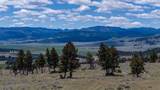 Lot 50 Nursery Creek Road - Photo 11