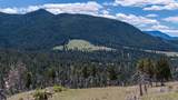 Lot 50 Nursery Creek Road - Photo 13