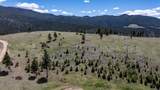 Lot 50 Nursery Creek Road - Photo 20