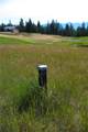 NHN Deer Meadow Lane - Photo 7