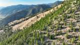 Nhn Lolo Forestlands - Photo 12