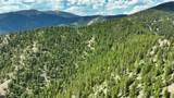 Nhn Lolo Forestlands - Photo 28