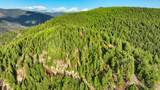 Nhn Lolo Forestlands - Photo 31