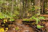 Nhn Lolo Forestlands - Photo 42