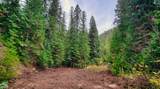 Nhn Lolo Forestlands - Photo 43