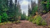 Nhn Lolo Forestlands - Photo 44