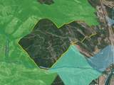 Nhn Lolo Forestlands - Photo 46
