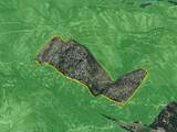 Nhn Lolo Forestlands - Photo 49