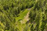 64 Lone Wolf Trail - Photo 20