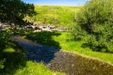 TBD Upper Highwood Creek Road - Photo 5