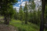 2342 Sirius View - Photo 43