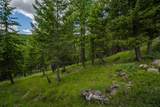 2342 Sirius View - Photo 45