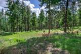 865 Lone Osprey Ridge - Photo 12