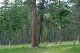 865 Lone Osprey Ridge - Photo 9