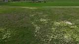 0 Lot 3 Yellowbell Lane - Photo 11