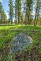NHN Happy Acres Lane - Photo 7