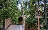 82 Limber Pine - Photo 3