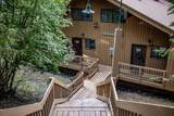 82 Limber Pine - Photo 4
